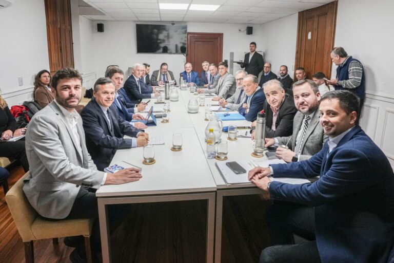 Comienzan las reuniones de comisión en la Convención Reformadora de la Constitución de Santa Fe