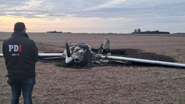 Encontraron una avioneta quemada en un campo del sur santafesino