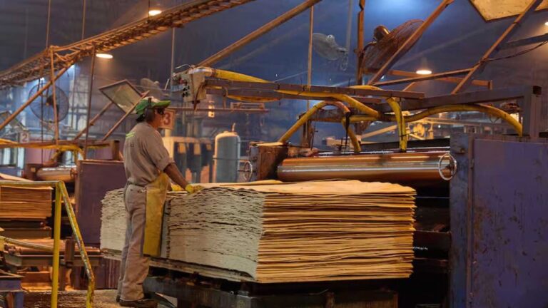 En plena crisis financiera, Celulosa frenó la actividad de sus plantas en Capitán Bermúdez y Zárate