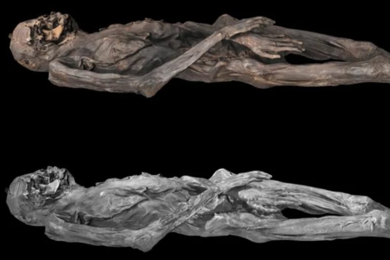 Revelan los extraños tatuajes que tiene una momia congelada en Siberia