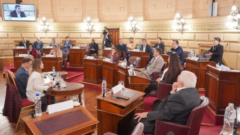 La Convención Reformadora avanza en el reconocimiento constitucional del MPA y del Servicio de la Defensa