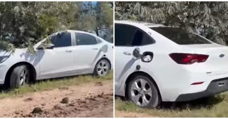 Horror en San Antonio de Areco: los misterios del caso de la pareja encontrada muerta en un auto