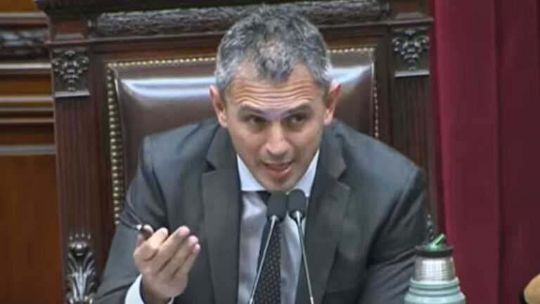 Martín Menem defendió al chofer involucrado en el accidente de la diputada rosarina Rocío Bonacci