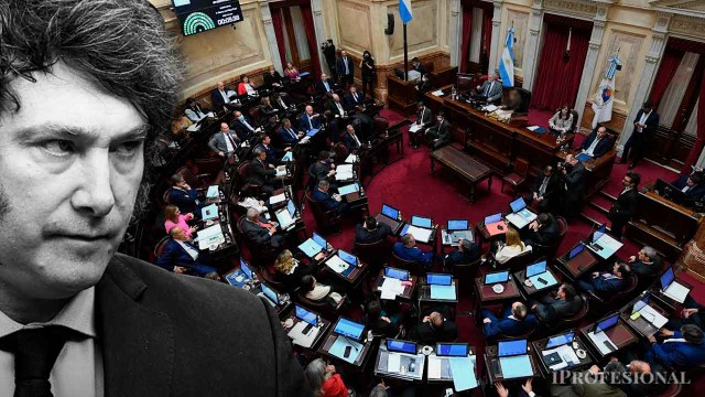 Otra dura pelea para Milei: el Senado buscará cambiar las reglas de los DNU y bajar el veto sobre discapacidad
