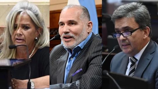 Discapacidad y DNU: cómo votaron los senadores del Chaco en la jornada que complicó a Milei