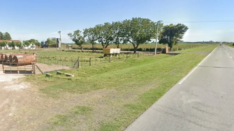 Tres encapuchados gritaron Policía, rompieron la puerta y asaltaron a dos mujeres en una casa de campo de Villa Amelia