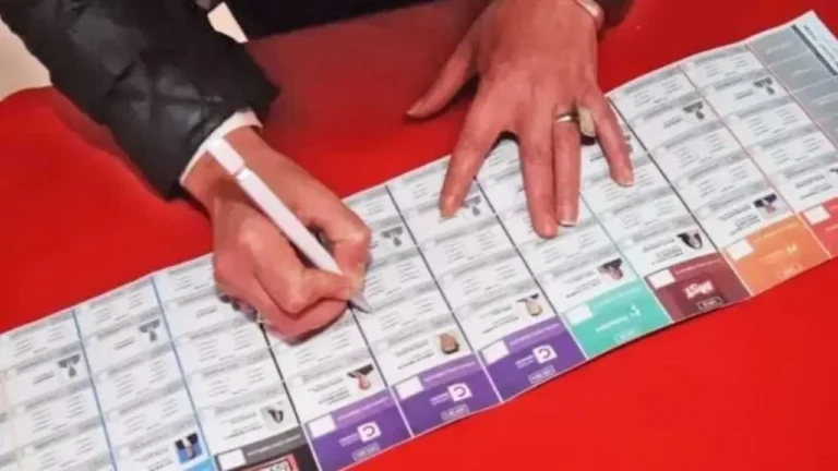 El insólito tuit de un economista libertario que despertó burlas: Cuando vayas a votar, llevá tu propia birome, algunas tienen tinta que desaparece