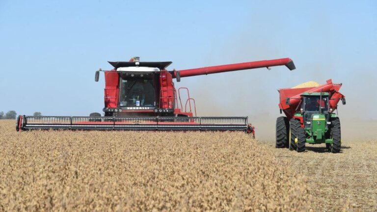 Retenciones: la Sociedad Rural de Rosario critica «el negocio de gobierno y exportadores»