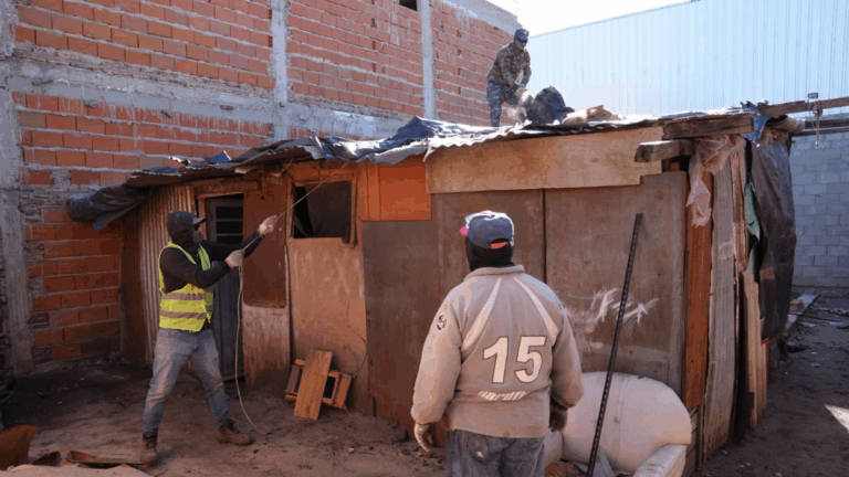 Derribaron un búnker y creyeron encontrar marihuana en la casa vecina: eran plantas aromáticas