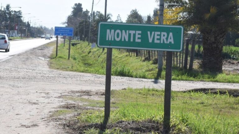 Un hombre murió tras ser atacado por un enjambre de abejas en una localidad santafesina