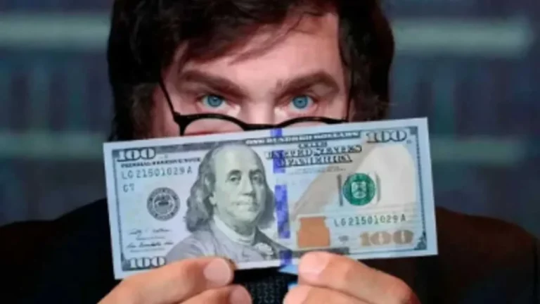 Un economista cercano a Javier Milei afirmó que el gobierno nacional anunciará un nuevo plan de convertibilidad