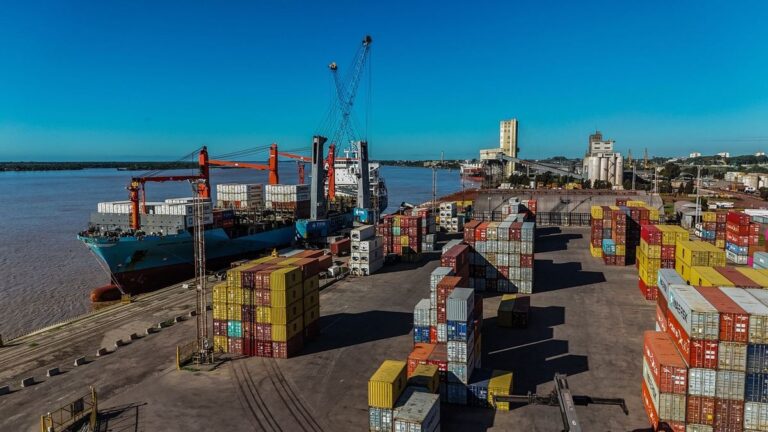 Boom logístico en Rosario: el puerto registró su mayor movimiento de cargas en la historia