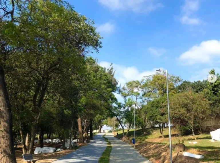 El misterio del Maníaco del Arco Iris: mató a 13 homosexuales en Brasil y nunca lo pudieron atrapar