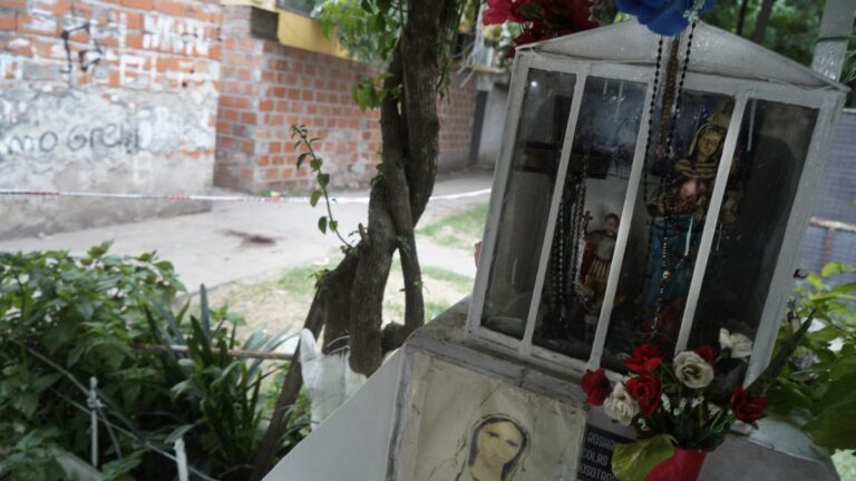 Balaceras en Parque Oeste: un joven aceptó diez años de condena por dos ataques con cuatro heridos