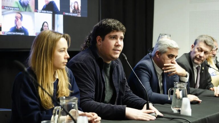 La ley de financiamiento universitario esquivó la derogación: «La batalla sigue»