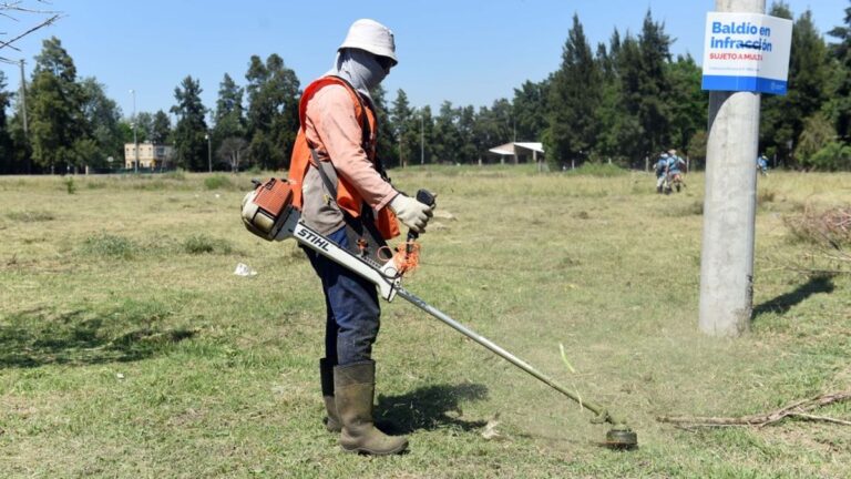 Autonomía municipal: rige el decreto para intervenir en baldíos sin orden judicial