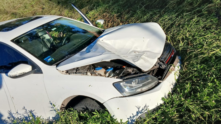 Puerto San Martín: un auto atropelló a un caballo y terminó dentro de un zanjón