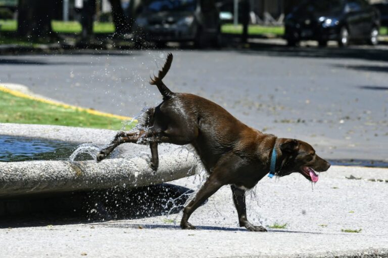 Lunes con cielo algo nublado y mucho calor