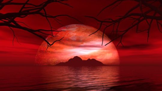 Más de 80 minutos de Luna roja: Argentina será testigo de uno de los eclipses más impactantes del año