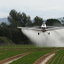 Rosario: productores van a juicio por fumigaciones