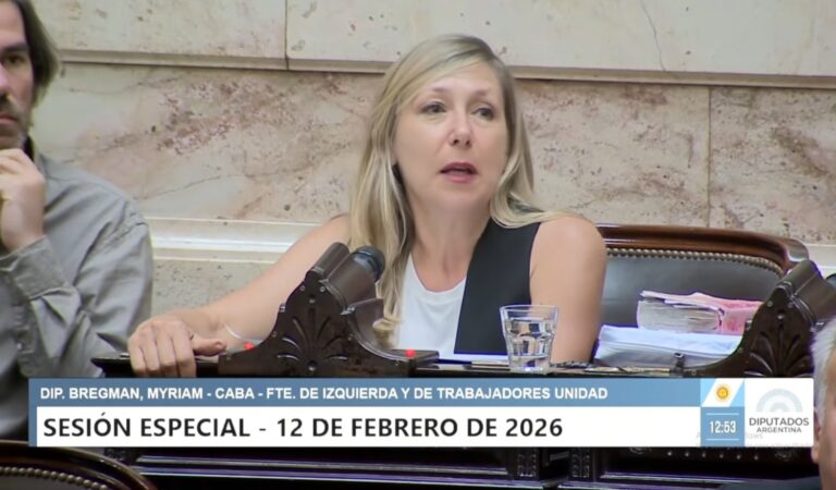 Bregman: «No hay plata para garantizar derechos de niños, niñas y adolescentes pero sí para criminalizarlos»