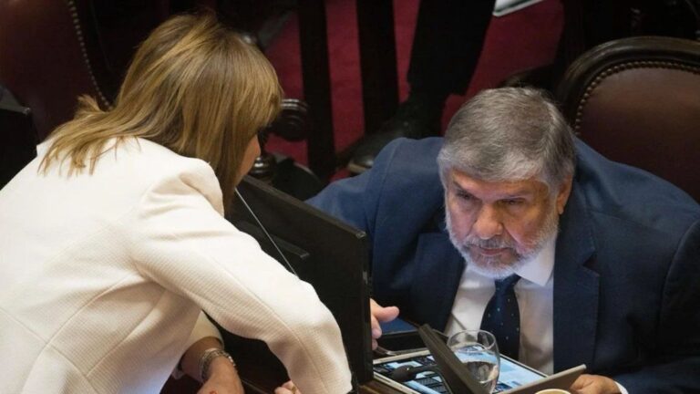 El Senado convirtió en ley el acuerdo comercial entre el Mercosur y la Unión Europea