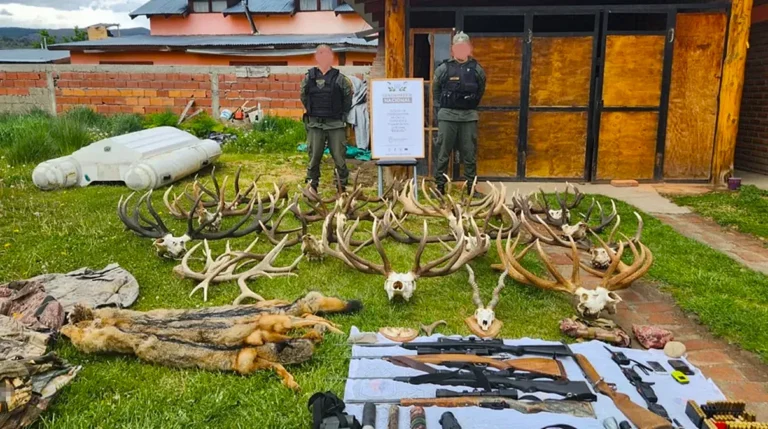 El Parlamento del Mercosur quiere que los países del bloque sean libres de tráfico de fauna y trofeos de caza