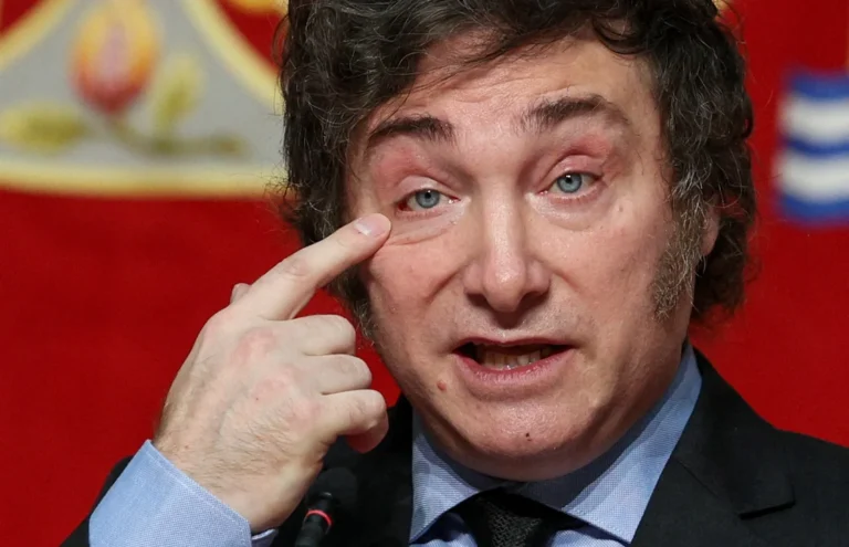 Milei: ?Después del año 2031, no me ven más el pelo?